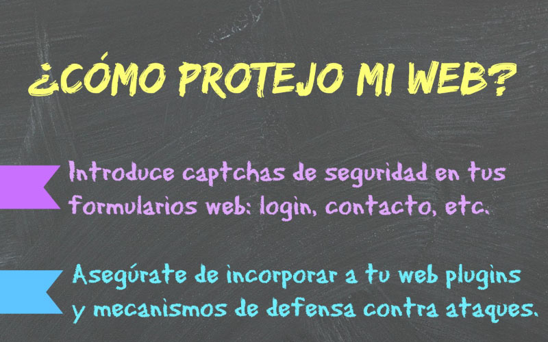 web wordpress