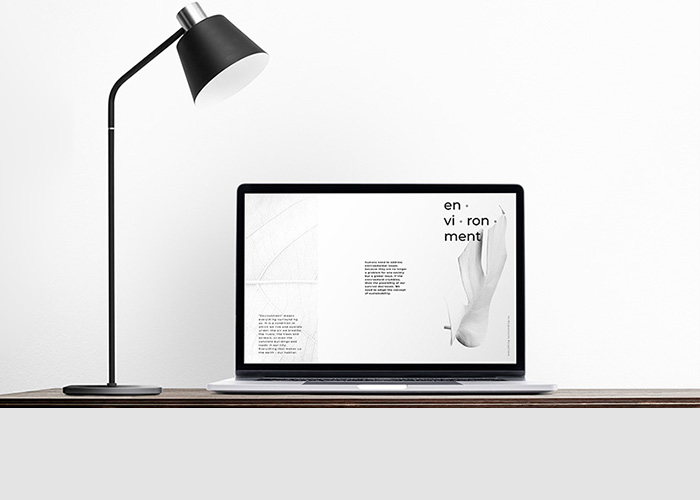 diseño web novelda alicante
